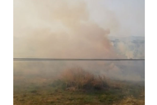 Lamezia, sterpaglie in fiamme in contrada Piro: intervento dei Vigili del fuoco