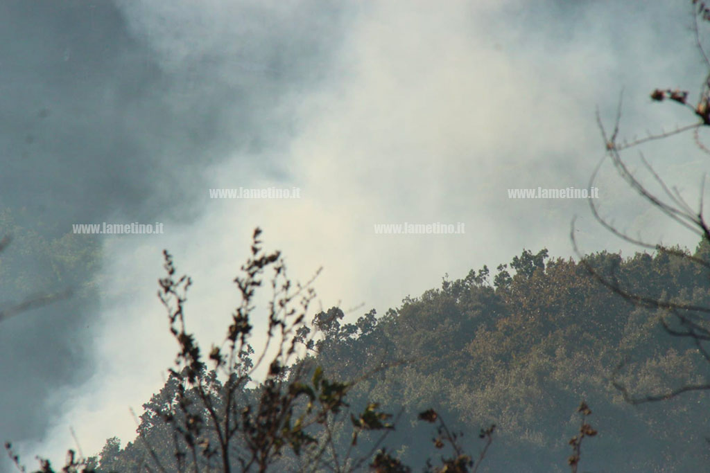 incendio_8a91e.jpg
