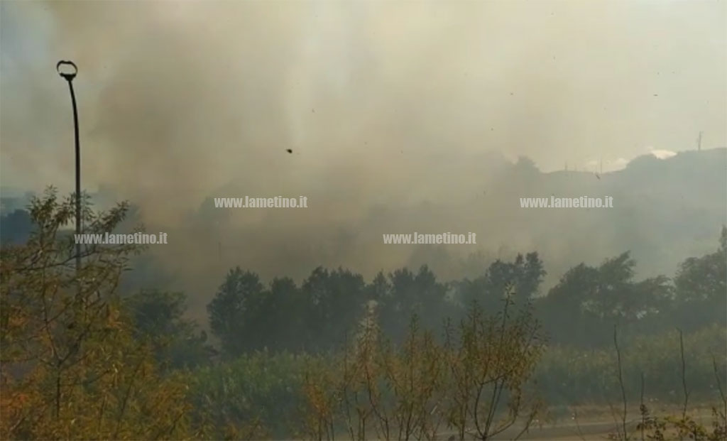 Lamezia, in fiamme arbusti e sterpaglie in via Monsignor Azio Davoli 