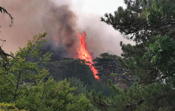 Spento dopo una settimana l'incendio di Longobucco che ha attraversato anche Parco della Sila