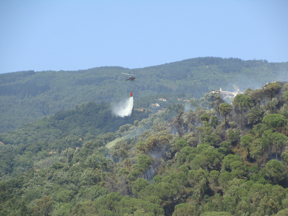 Lamezia, elicotteri a lavoro per spegnere un nuovo incendio nel bosco di Sant'Antonio