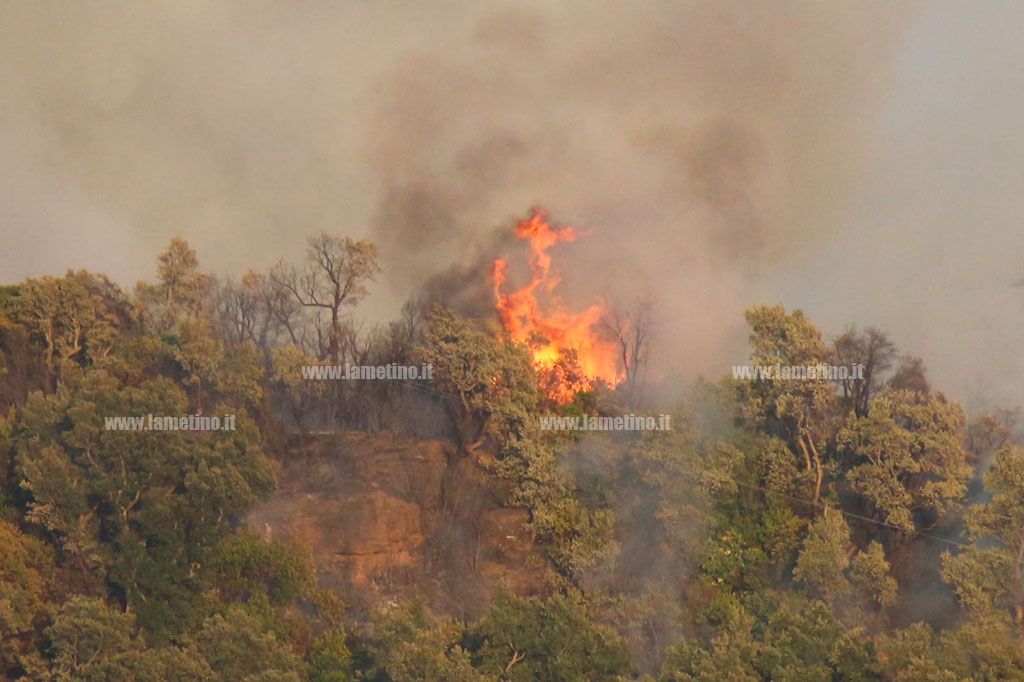 Lamezia, vasto incendio di zona boscata a Zangarona: sul posto 20 vigili del fuoco e 9 automezzi