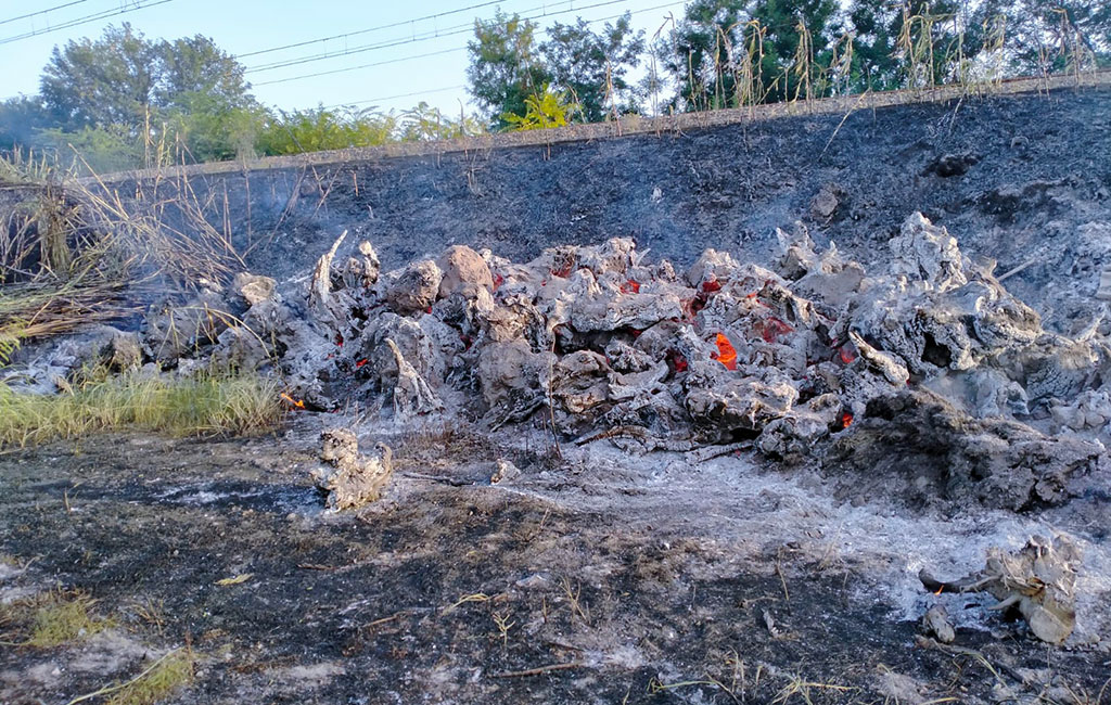 In fiamme vegetazione vicino i binari, interrotta tratta ferroviaria tra Gizzeria Lido e Lamezia Terme Centrale