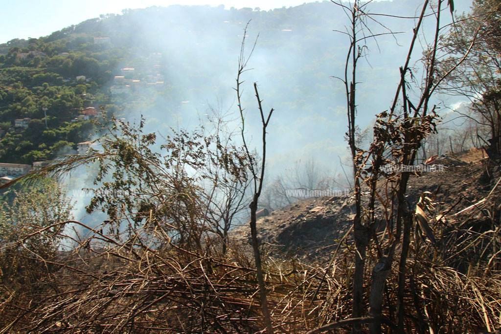 Lamezia, in fiamme zona boschiva in contrada Velati-Rametta: incendio lambisce abitazioni