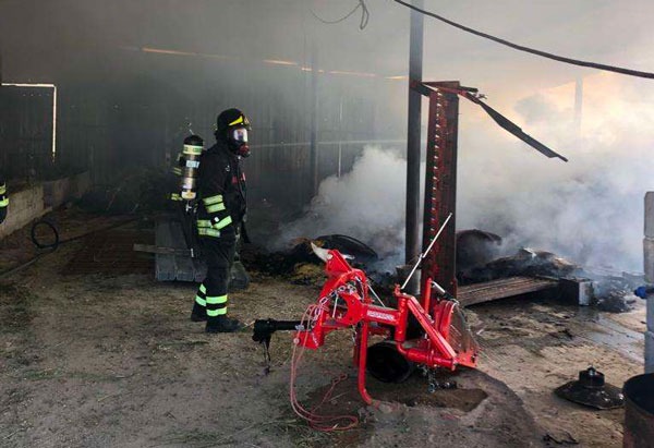 Incendio in stalla nel vibonese, Vigili del Fuoco salvano animali 