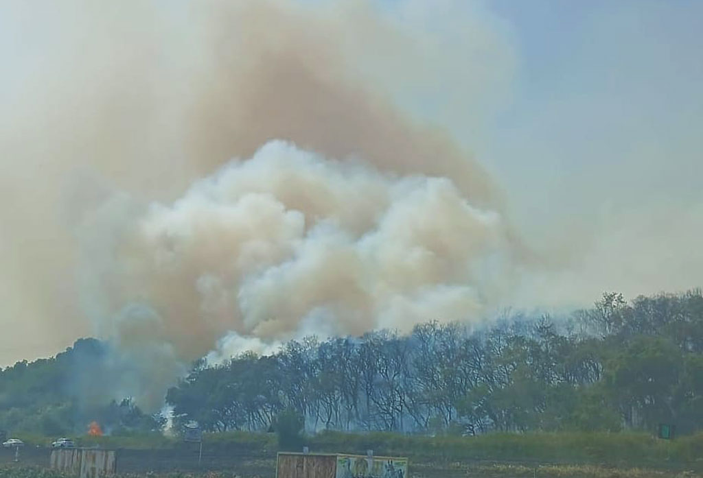 Lamezia, incendio di vegetazione sulla strada statale 280: al lavoro per riapertura completa del transito