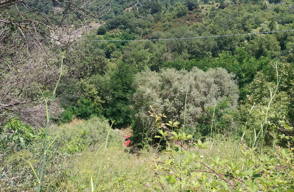 Esce fuori strada con l'auto e precipita per 40 metri, salvo 87enne nel Reggino