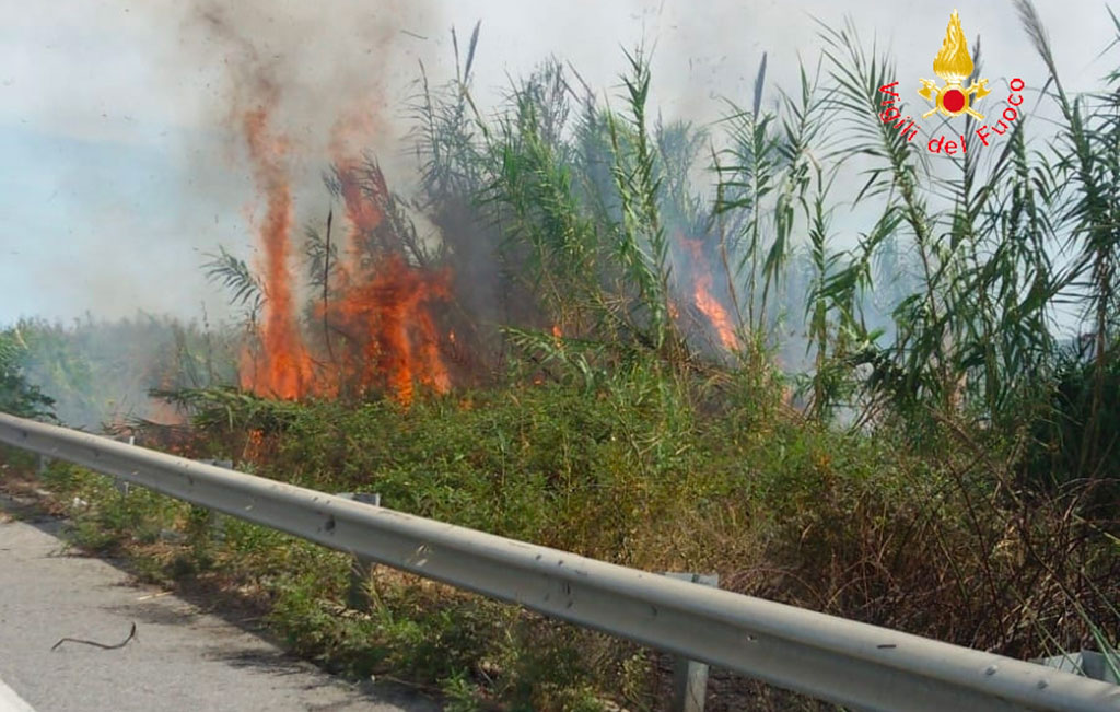 Attenuate le piogge aumentano gli incendi nel catanzarese