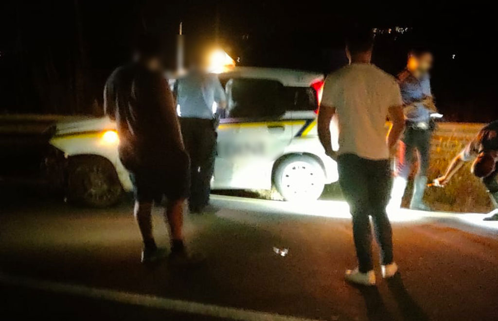 Lamezia, auto impatta contro cinghiali sulla statale 18: tanta paura ma nessun ferito