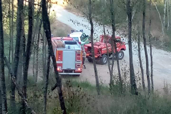 Vasto incendio vicino località Spernuzzata a Conflenti: spento da operatori e volontari