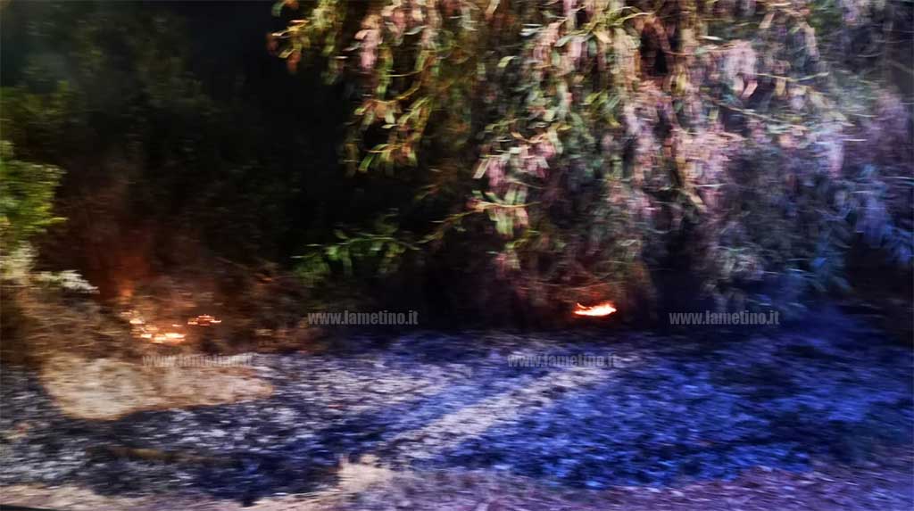 incnendio-notte-pineta-10719.jpg