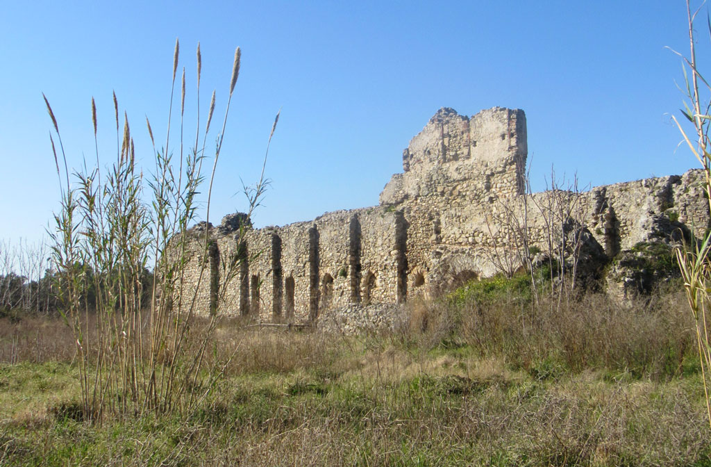 incontro-lamezia-e-dintorni2.jpg