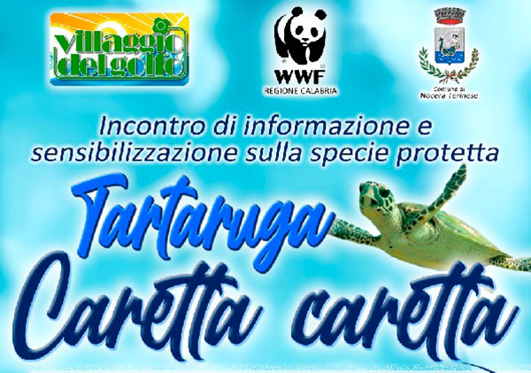 Incontro di sensibilizzazione su tartaruga Caretta caretta Il 26 agosto a Nocera Terinese
