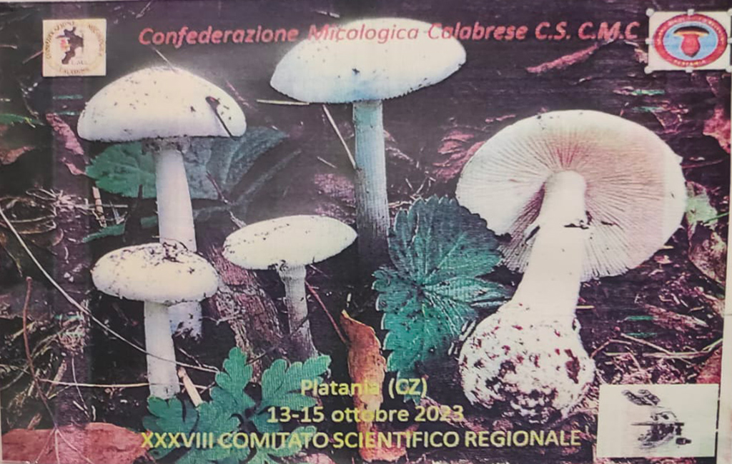 incontro_dcf0d.jpg