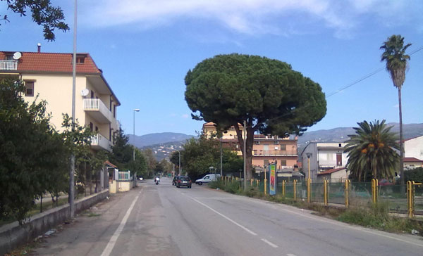 Lamezia nuovo semaforo tra via Murat e via Foderaro il Lametino.it