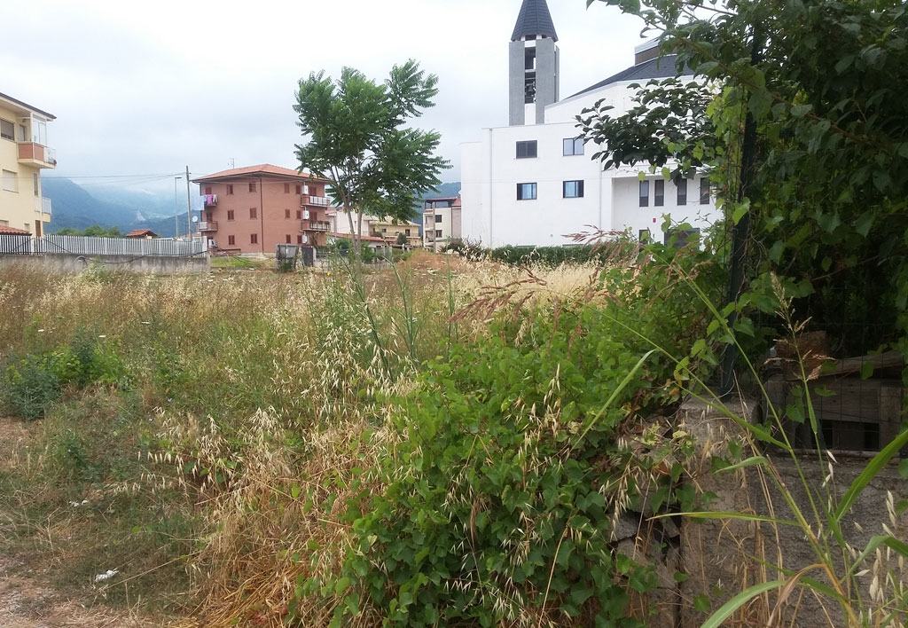 Lamezia, comitato cittadini denuncia incuria a Savutano dietro Chiesa Santa Maria Goretti