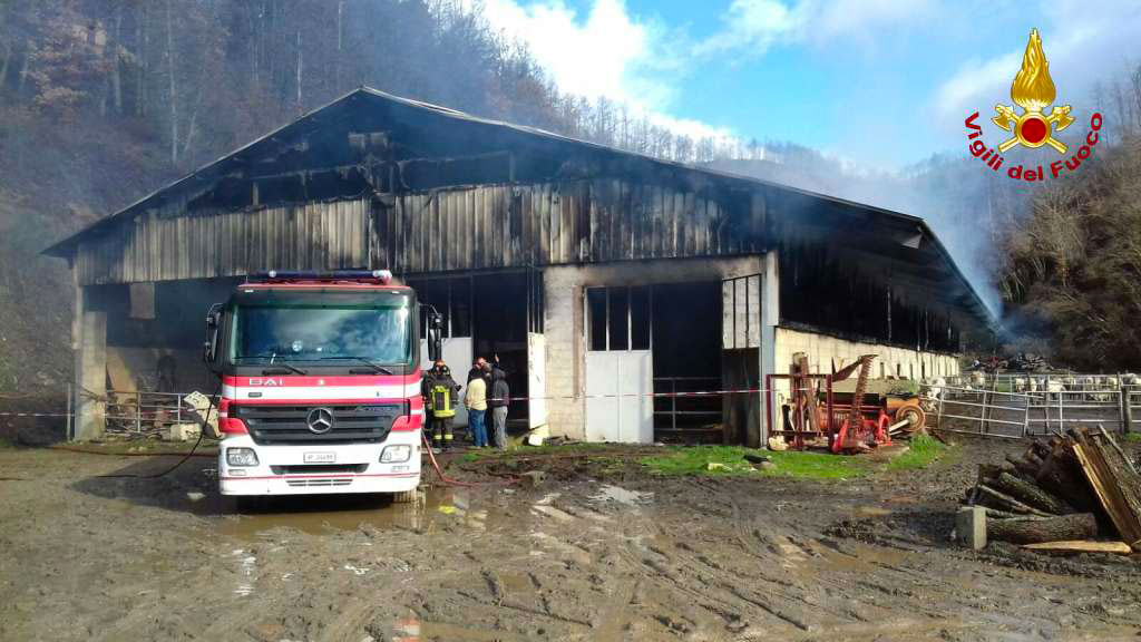 A fuoco capannone stalla e deposito mezzi agricoli a Bianchi