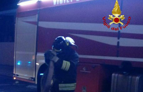 Intimidazione ad azienda nel vibonese, bruciati due mezzi 