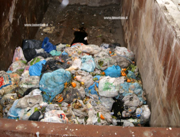 isola-ecologica-santa-sofia-sequestro-carabinieri.jpg