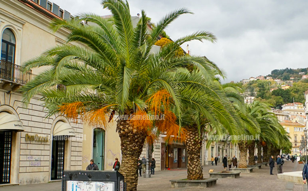 Lamezia, M24Agosto lancia petizione “Stop al furto del Recovery fund al sud”: sabato banchetto su corso Nicotera 