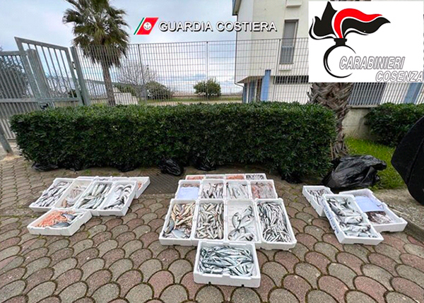 Sequestrati a Corigliano Rossano 105 chili di materiale ittico non a norma