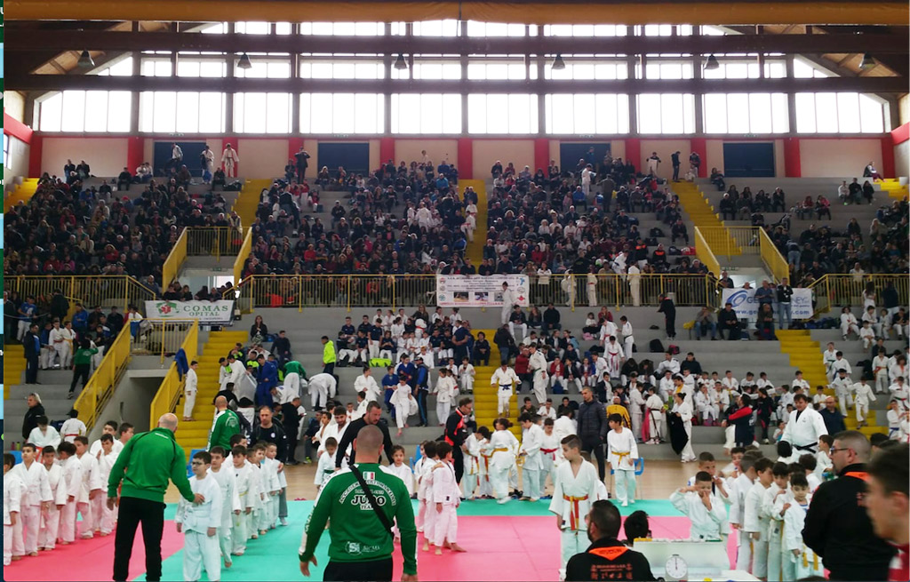 judo-9042019.jpg