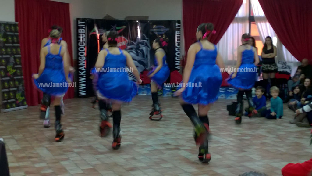 kangoo-jumps1.jpg