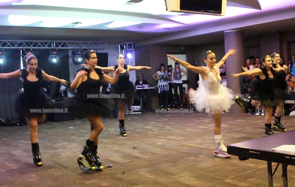 kangoo2-11272016-153450.jpg