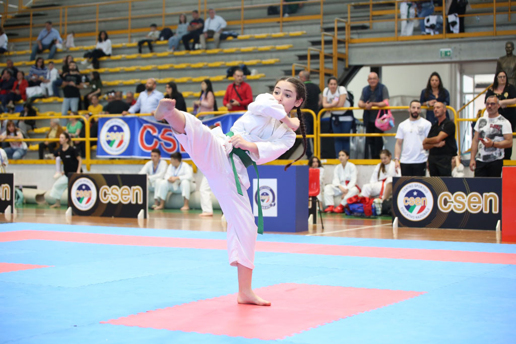 karate08e2_41cca.jpg
