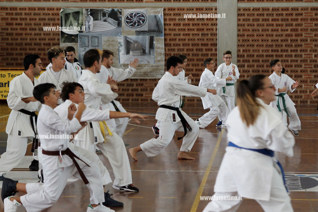 karate2.jpg