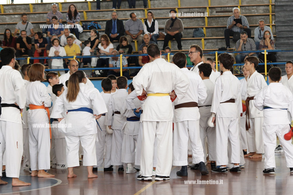 karate5.jpg