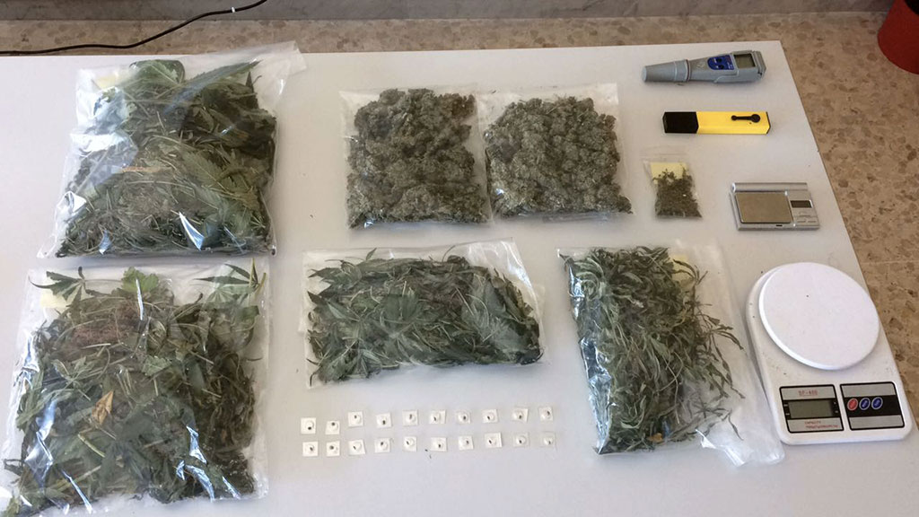 Laboratorio per coltivare marijuana scoperto in un magazzino del crotonese, arrestato 45enne