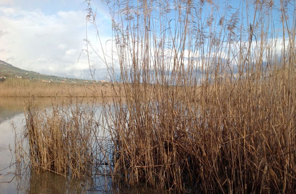 Lamezia: Lentidoro (Mondo Libero) chiede rivisitazione progetto Laghi La Vota