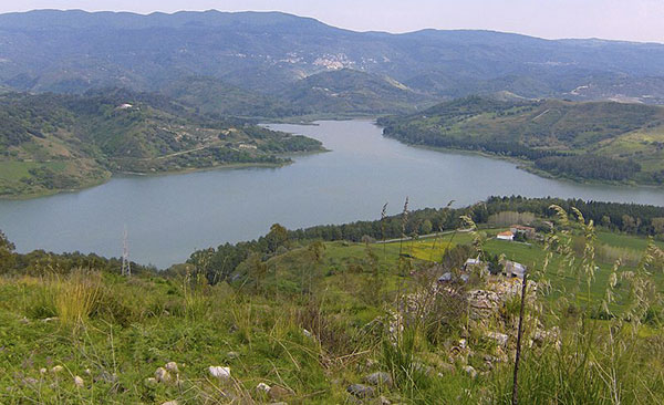 Moria di pesci nel lago Angitola, Arpacal: "Analisi rilevano presenza di Ddt"