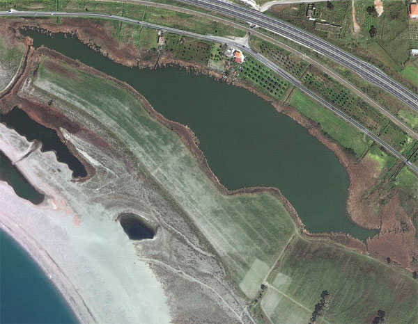 Gizzeria: Aquila e airone feriti e curati saranno liberati martedì al lago La Vota 