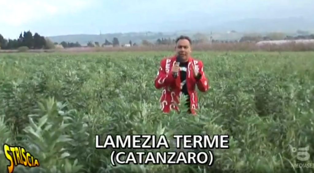 Lamezia, "Mercato… a Rotoli": servizio di Striscia la Notizia su mancata apertura mercato ortofrutticolo