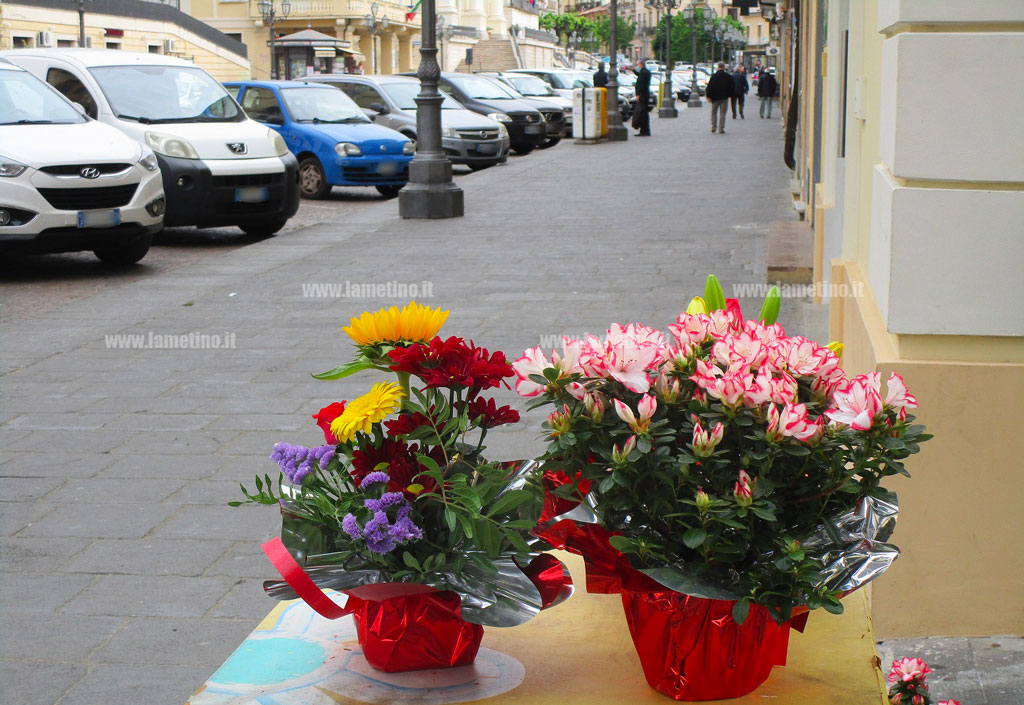 lamezia-fiori-2020-festa-mamma4.jpg