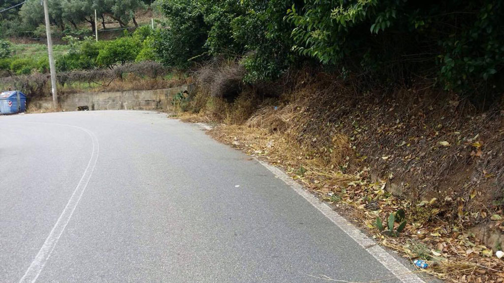 Lamezia, Popello (CasaPound): interventi di pulizia non migliorano situazione in zone periferiche