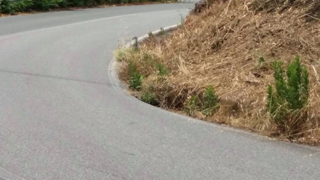 lamezia-nord.jpg