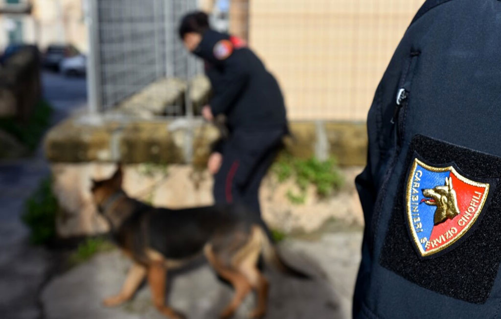Lamezia, controlli dei carabinieri in città: scoperti droga, armi e lavoratori irregolari