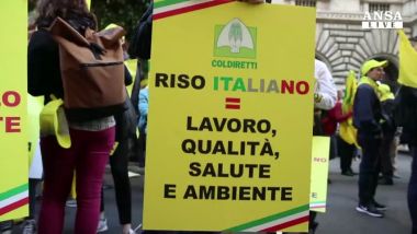  Coldiretti: origine in etichetta pasta e riso, si restituisce reddito alle imprese calabresi