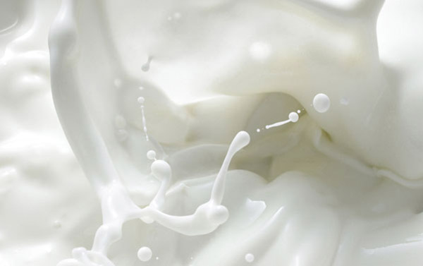 Giornata mondiale del latte: in Calabria alta qualità e crescita costante