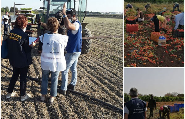 Operazione nel Crotonese contro caporalato e impieghi "in nero", riscontrate irregolarità in 17 aziende