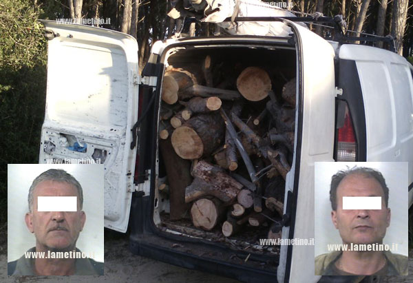 Lamezia: Sorpresi a tagliare alberi a Curinga, arrestati due fratelli  