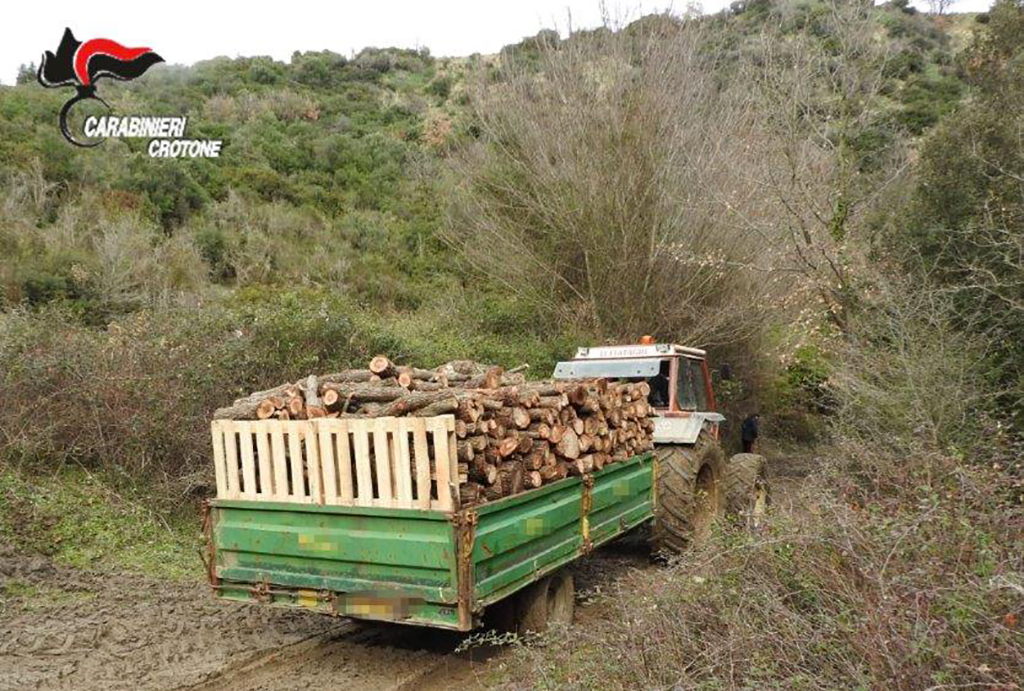 Rubavano legna in terreno privato, arrestate 3 persone a Cirò