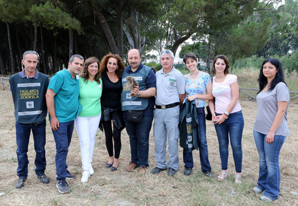 Calabria: Liberati rapaci nella pineta di Giovino a Catanzaro
