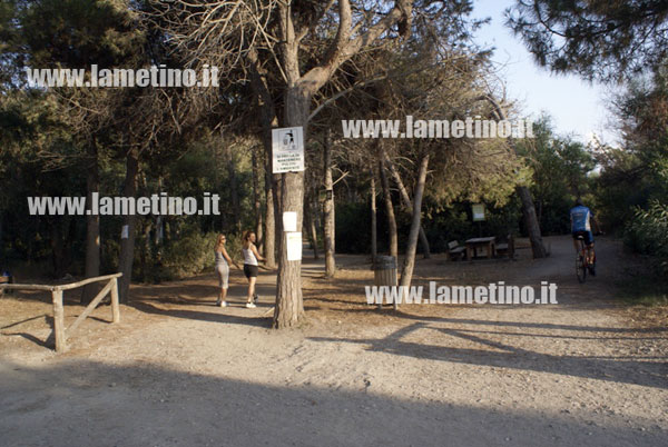 Lamezia: Sport nella pineta di località Marinella a cura dell'associazione Libertas