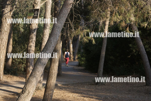 libertas-pineta-lamezia-2013-3.jpg