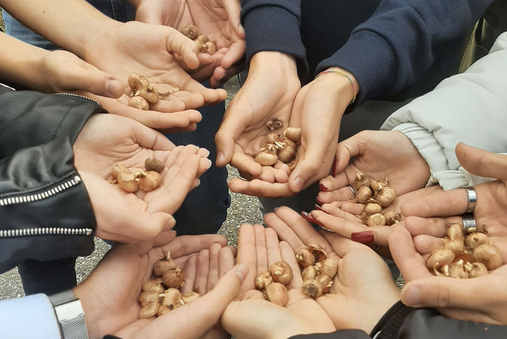 Lamezia, liceo Galilei aderisce a “Progetto Crocus” per ricordare vittime delle atrocità naziste