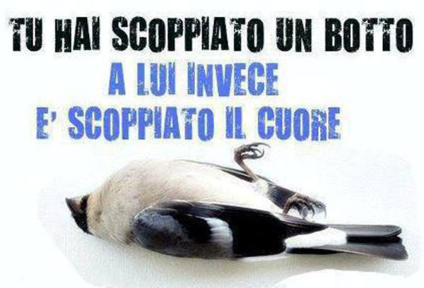 Lipu: vietare l'uso dei botti anche per incolumità animali 